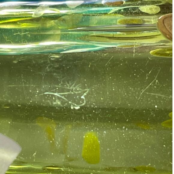 Vintage Signed Moser Art Glass Vase Ruffle Top Green Gold Gilt Good Condition - Picture 6 of 12